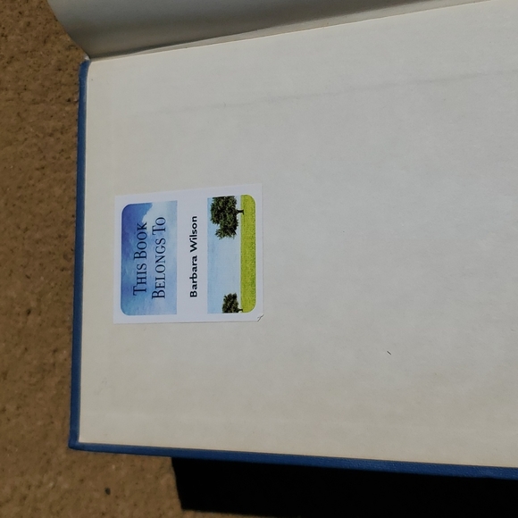 Hebrew English Lexicon by Zondervan - Picture 6 of 7